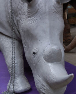 Rhino