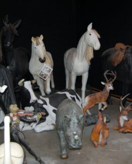 Animal colection