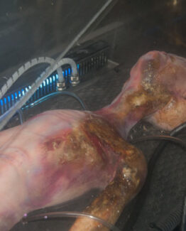 Alien 3 - Roswell area 51