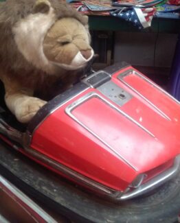 Bumper  Car