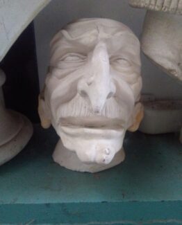 Bust 5